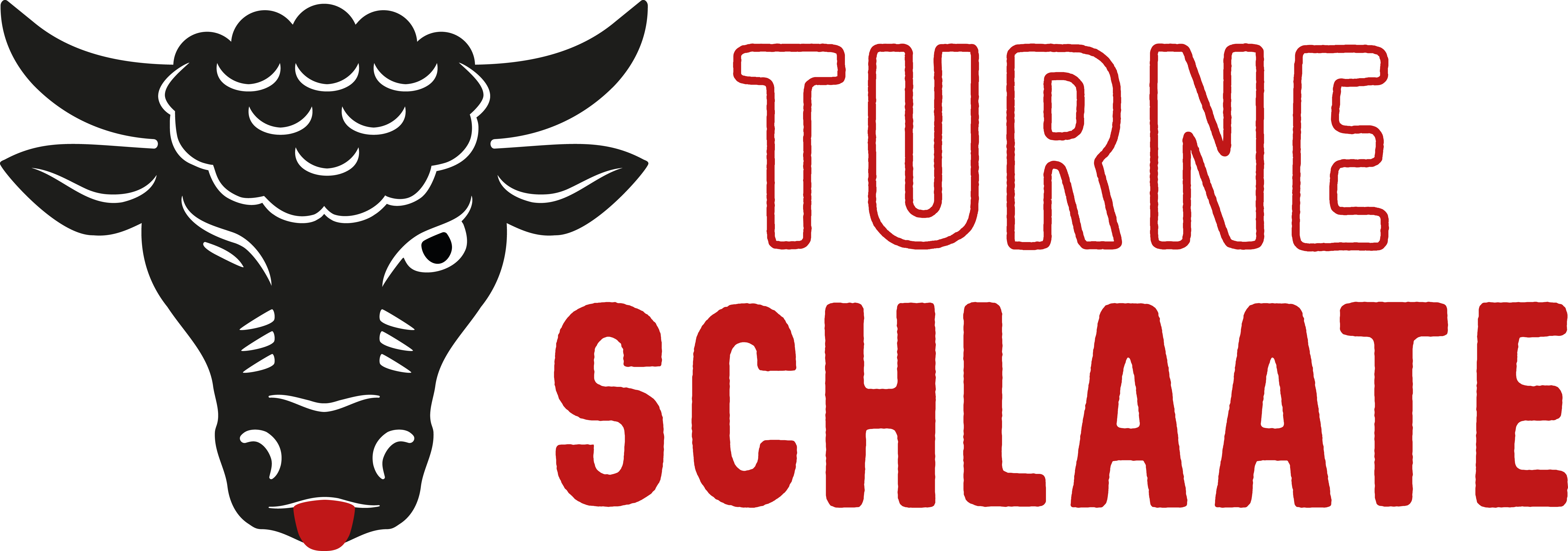 Turne Schlaate